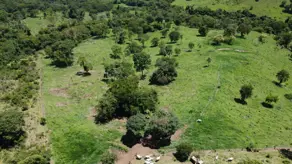 Imagem 4 - Fazenda em Zona Rural, Bonfinópolis - GO