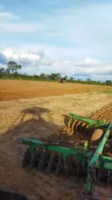 Fazenda Novo Acordo, Novo Acordo - TO — foto 2
