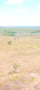 Imagem 5 - Fazenda em Centro, Rio Sono - TO