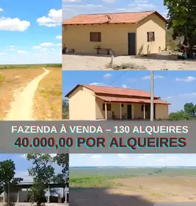 Fazenda Centro, Rio Sono - TO — foto 1