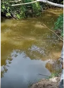 Imagem 3 - Fazenda em Centro, Rio Sono - TO