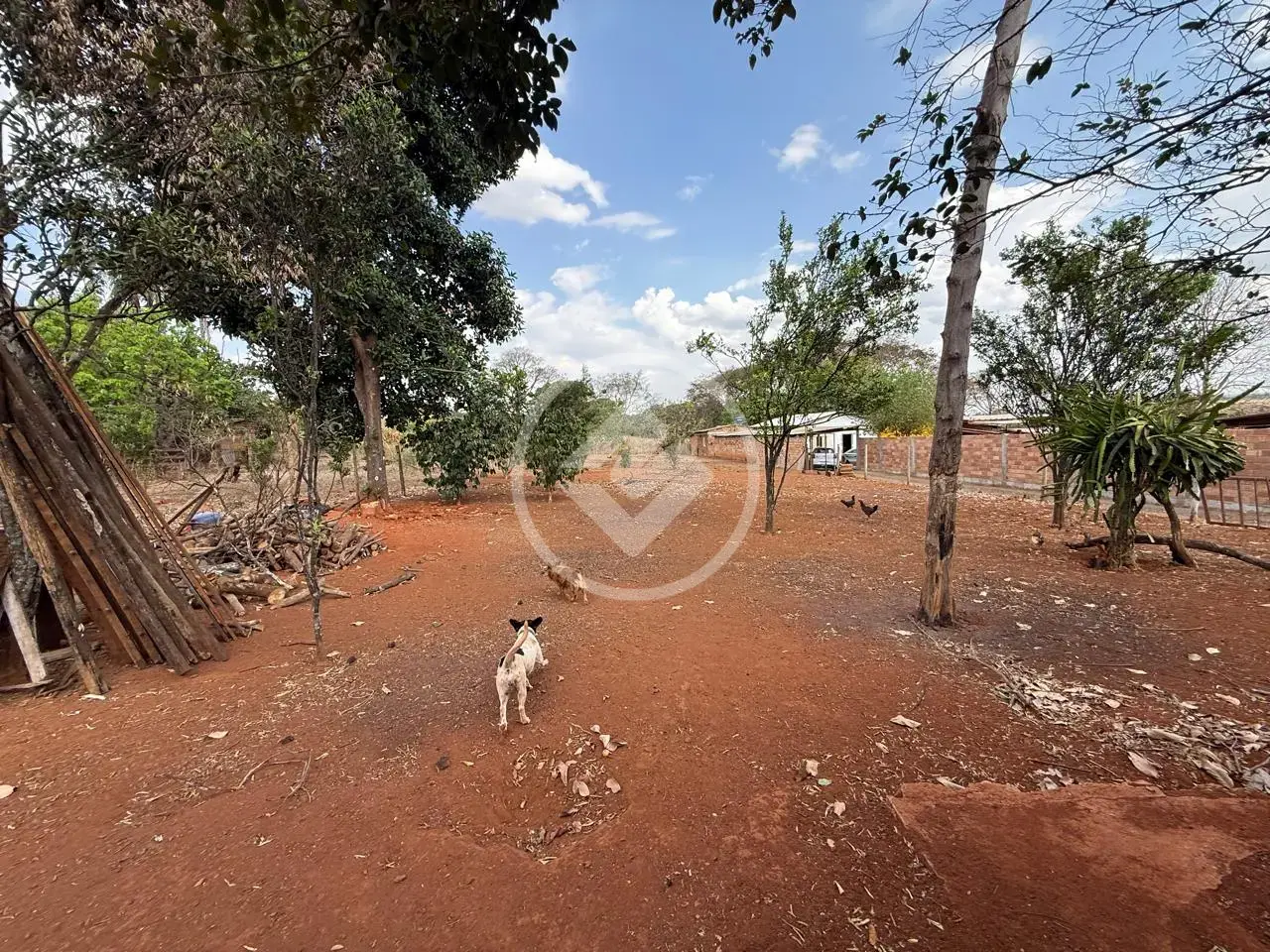 Image 18 - Casa em Savannah, Hidrolândia - GO