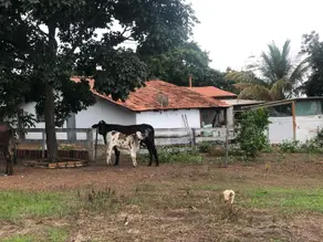 Imagem 5 - Fazenda em ZONA RURAL, Marzagão - GO