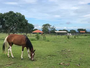 Fazenda ZONA RURAL, Marzagão - GO — foto 2
