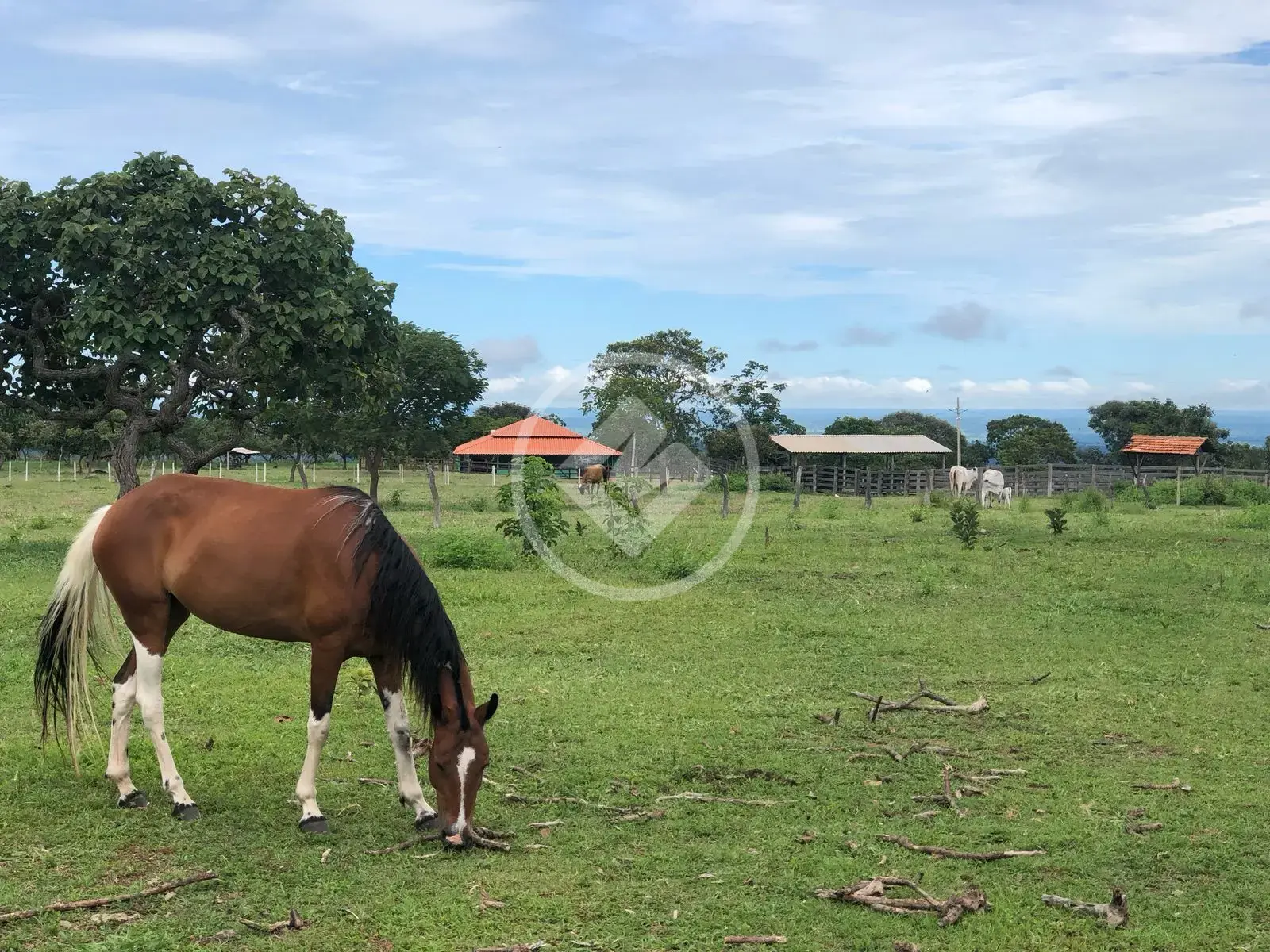 Image 2 - Fazenda em ZONA RURAL, Marzagão - GO