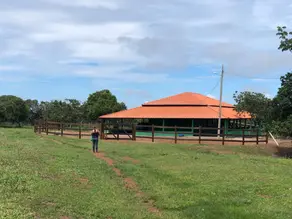 Fazenda ZONA RURAL, Marzagão - GO — foto 1