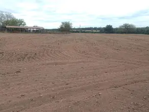 Imagem 3 - Fazenda em Setor Central, Juarina - TO