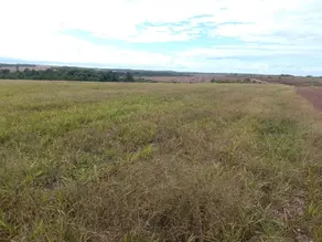 Imagem 2 - Fazenda em Setor Central, Juarina - TO