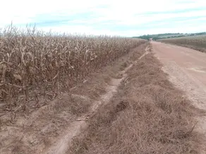 Imagem 4 - Fazenda em Setor Central, Juarina - TO