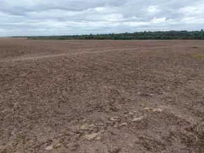 Imagem 5 - Fazenda em Setor Central, Juarina - TO