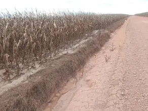 Imagem 6 - Fazenda em Setor Central, Juarina - TO