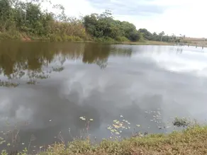 Fazenda Setor Central, Juarina - TO — foto 2