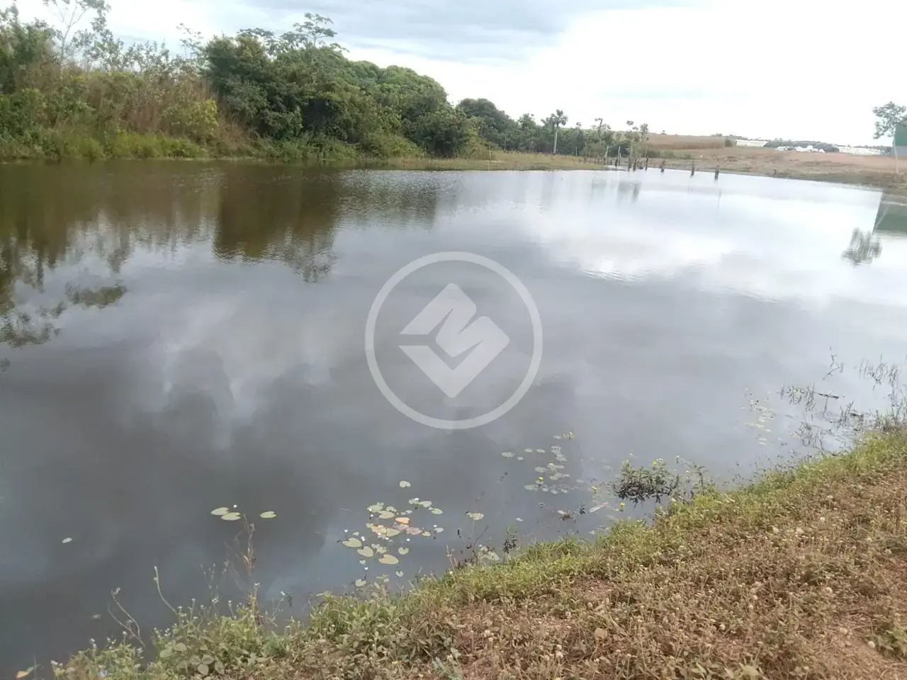 Imagem 1 - Fazenda em Setor Central, Juarina - TO