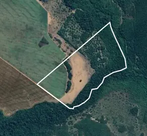 Fazenda Setor Alvorada, Guaraí - TO — foto 1