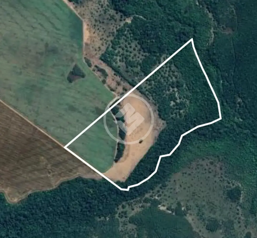 Imagem 1 - Fazenda em Setor Alvorada, Guaraí - TO