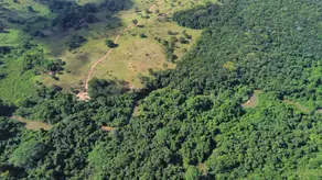 Imagem 3 - Chácara em santa maria, Hidrolândia - GO