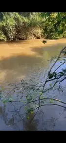 Imagem 5 - Chácara em santa maria, Hidrolândia - GO