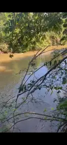 Imagem 6 - Chácara em santa maria, Hidrolândia - GO