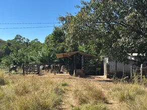 Imagem 5 - Sítio em Área Rural de Araguapaz, Araguapaz - GO