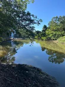 Imagem 6 - Sítio em Área Rural de Araguapaz, Araguapaz - GO
