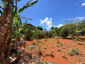 Imagem 4 - Casa em Mansões Riviera Parque, Hidrolândia - GO