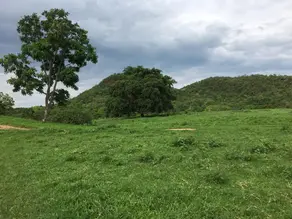 Imagem 2 - Fazenda em CENTRO, Formoso - GO