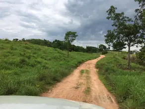 Imagem 3 - Fazenda em CENTRO, Formoso - GO