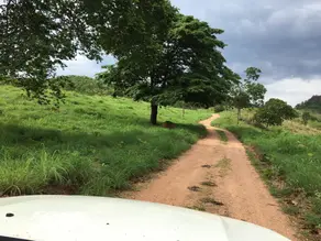 Imagem 4 - Fazenda em CENTRO, Formoso - GO