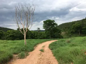 Fazenda CENTRO, Formoso - GO — foto 1