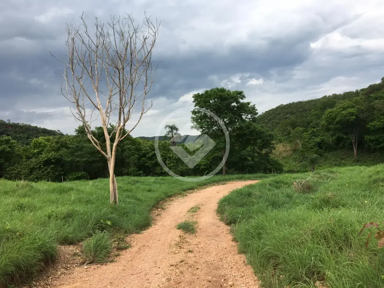 Imagem 1 - Fazenda em CENTRO, Formoso - GO