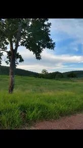 Imagem 6 - Fazenda em CENTRO, Formoso - GO