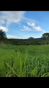 Fazenda CENTRO, Formoso - GO — foto 2