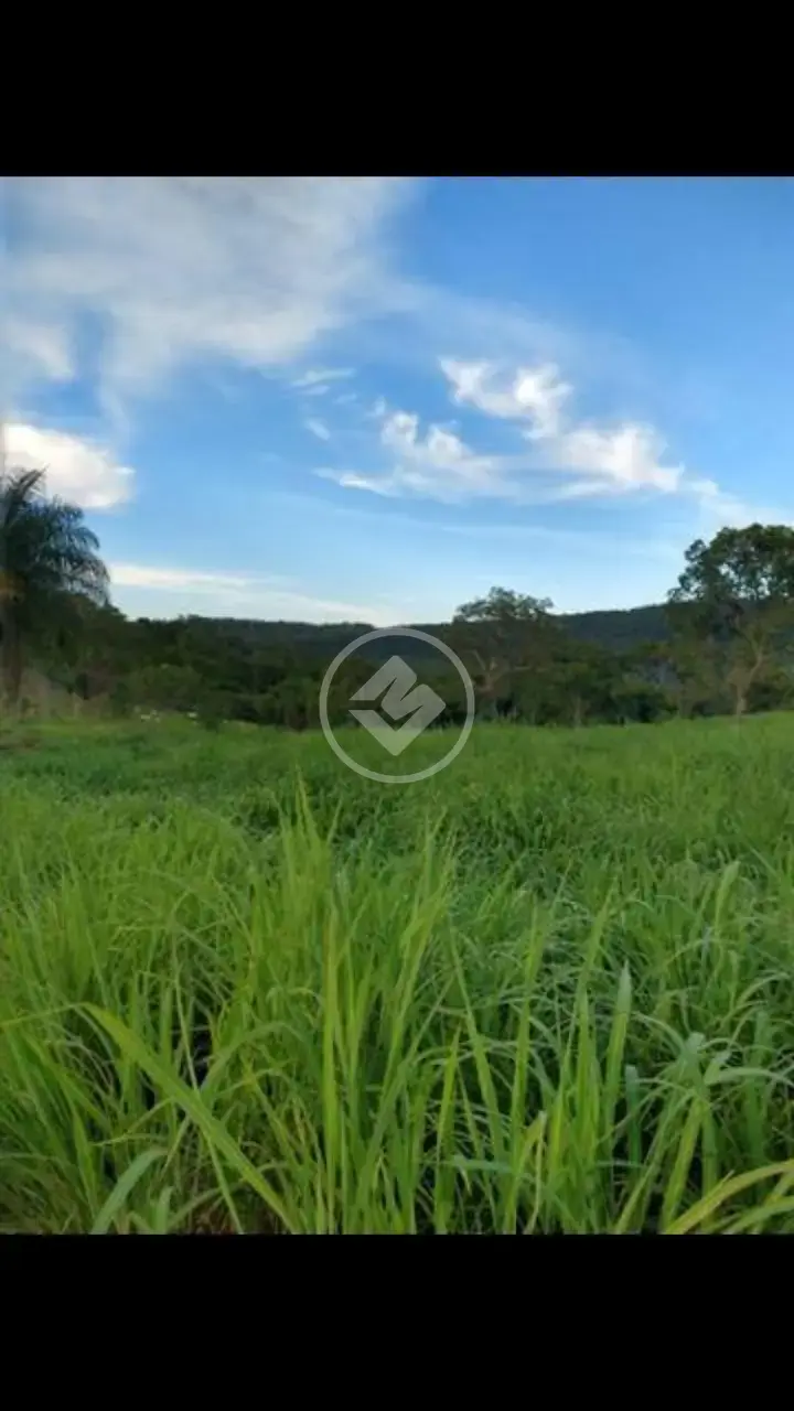 Image 2 - Fazenda em CENTRO, Formoso - GO