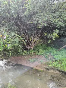Imagem 2 - Terreno em Jardim Esmeralda, Hidrolândia - GO