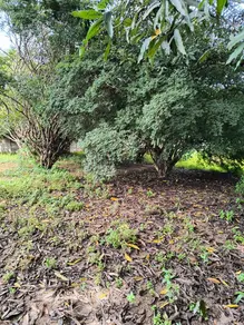 Terreno Jardim Esmeralda, Hidrolândia - GO — foto 2