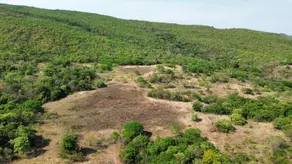 Fazenda Varjão Zona Rural, Varjão - GO — foto 2