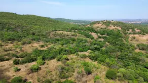 Imagem 2 - Fazenda em Varjão Zona Rural, Varjão - GO