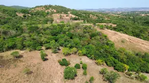 Imagem 4 - Fazenda em Varjão Zona Rural, Varjão - GO