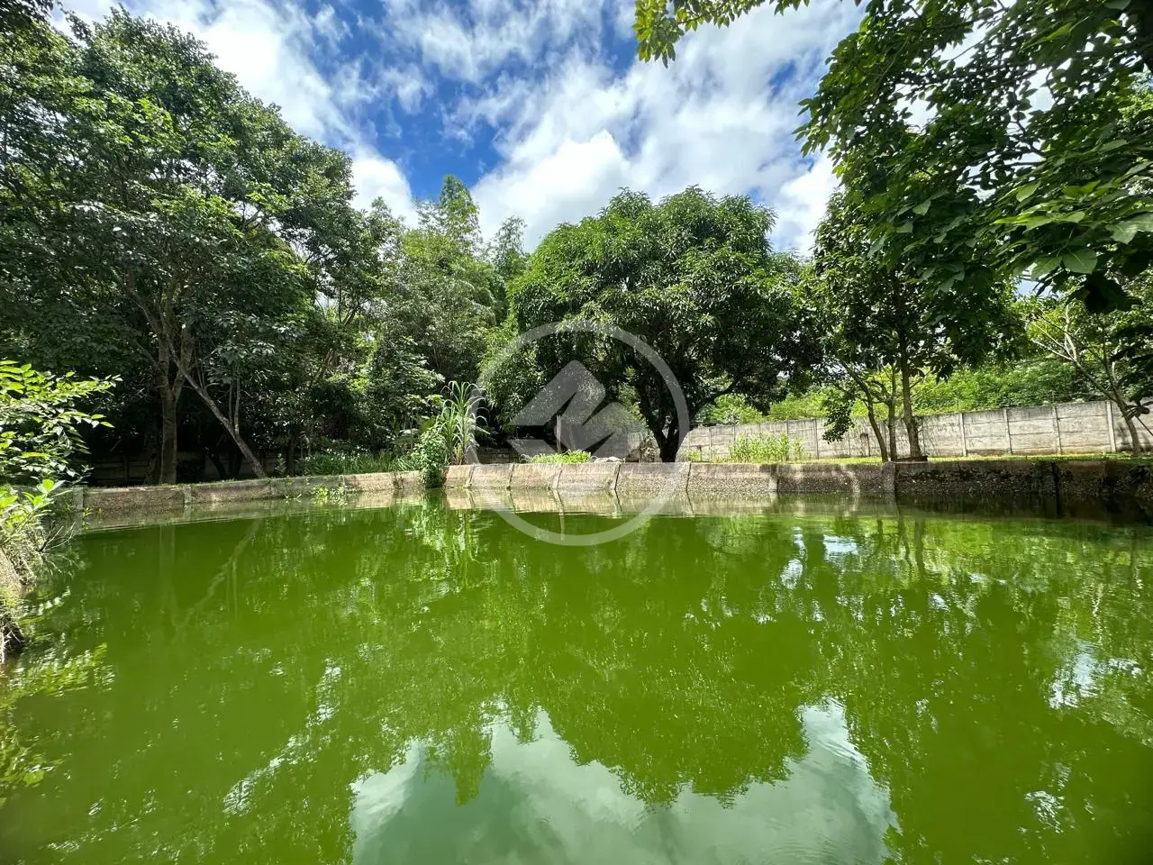 Image 43 - Chácara em Garavelo Sul, Hidrolândia - GO