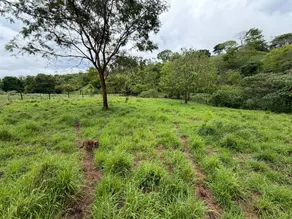 Imagem 2 - Chácara em centro, Brazabrantes - GO