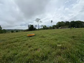 Imagem 3 - Chácara em centro, Brazabrantes - GO