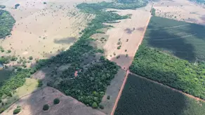 Imagem 2 - Fazenda em Zona Rural Hidrolandia, Hidrolândia - GO