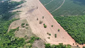 Imagem 4 - Fazenda em Zona Rural Hidrolandia, Hidrolândia - GO