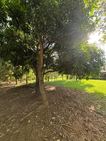 Chácara Condomínio Cidade das Águas, Hidrolândia - GO — foto 2