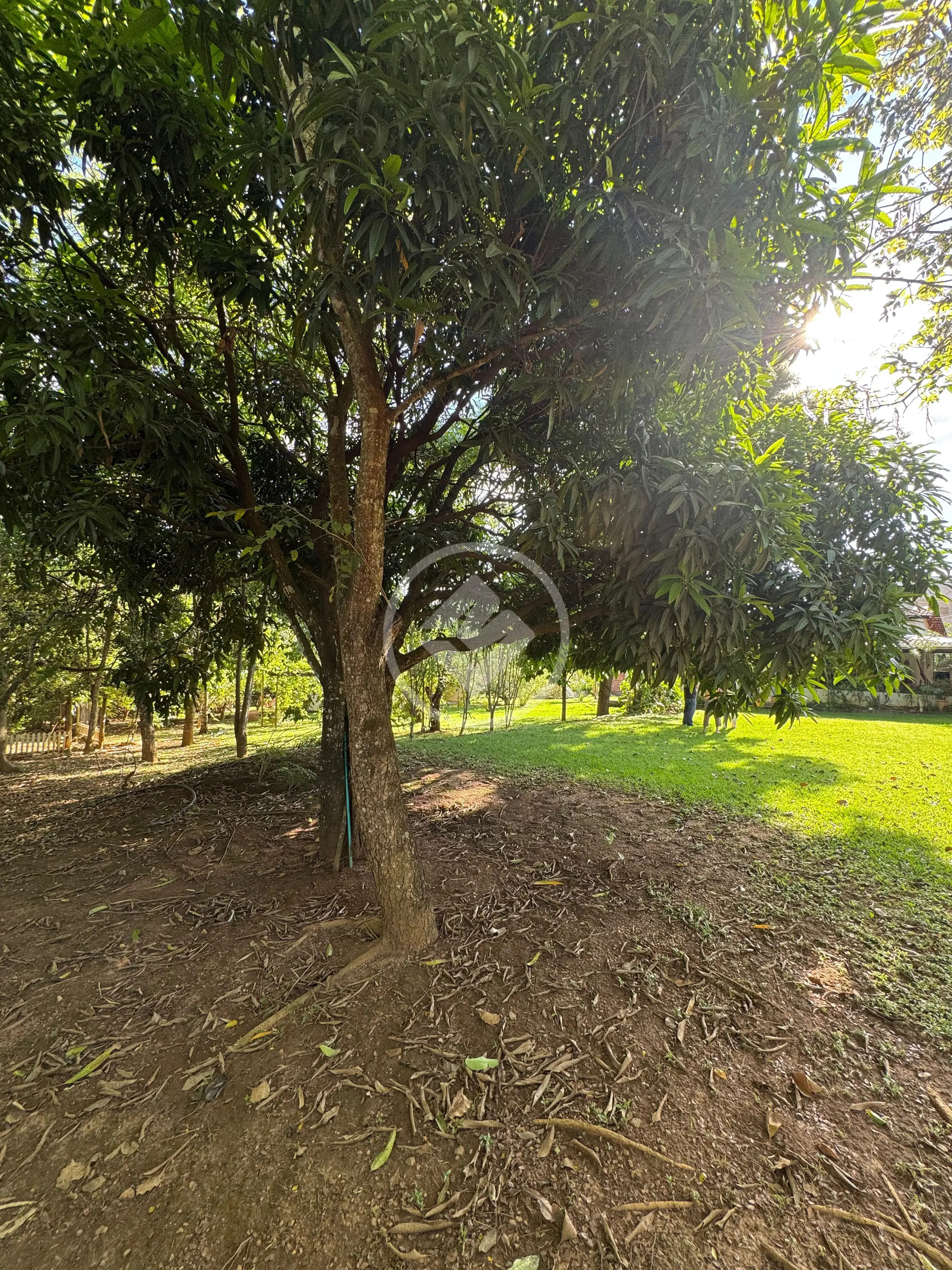 Image 2 - Chácara em Condomínio Cidade das Águas, Hidrolândia - GO