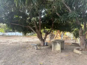 Imagem 2 - Chácara em Zona rural de Abadiânia, Abadia de Goiás - GO