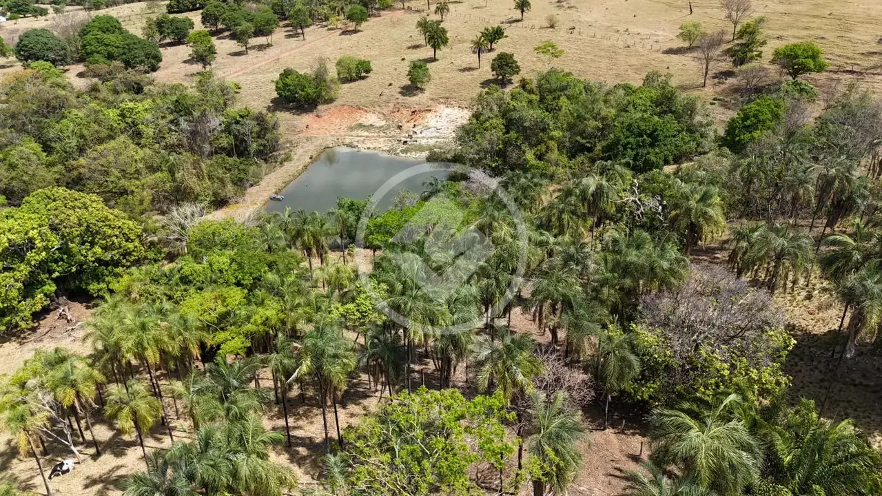 Imagem 1 - Chácara em Zona rural, Aragoiânia - GO