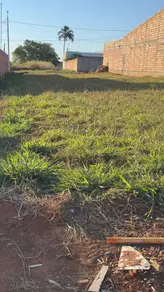 Terreno Setor Benjamin, Hidrolândia - GO — foto 2