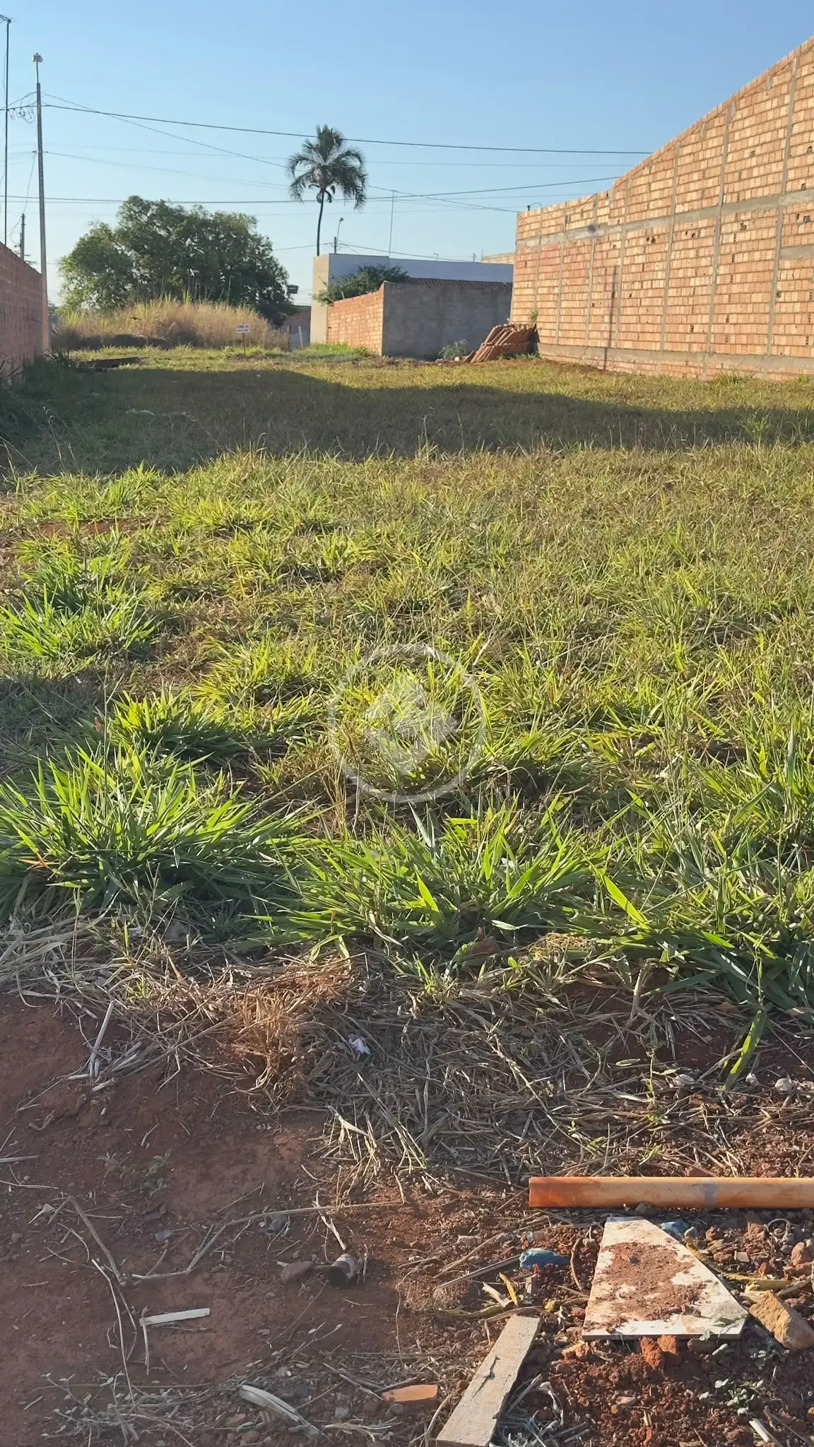 Image 2 - Terreno em Setor Benjamin, Hidrolândia - GO