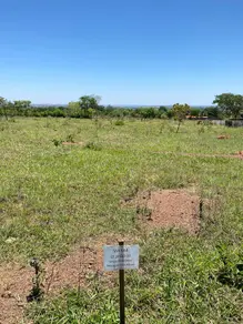 Imagem 3 - Terreno Condomínio em Sítios de Recreio Encontro das Águas, Hidrolândia - GO